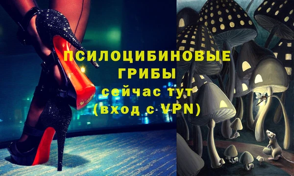 твердый Абдулино