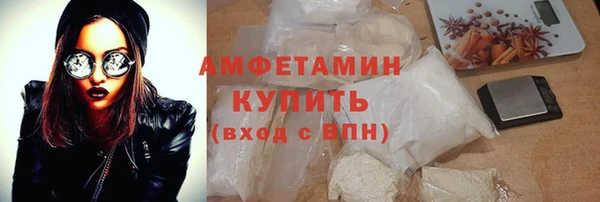 индика Абинск