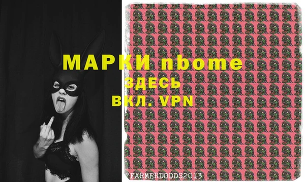 индика Абинск