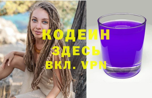 ECSTASY Алзамай