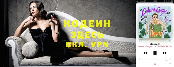 индика Абинск