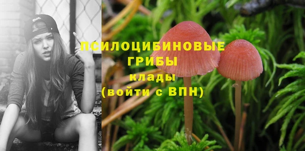 индика Абинск