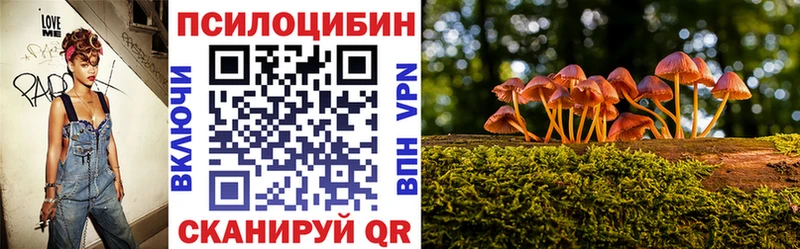 Псилоцибиновые грибы Cubensis Чапаевск