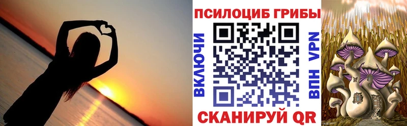 где купить наркоту mega зеркало Галлюциногенные грибы мухоморы Чапаевск